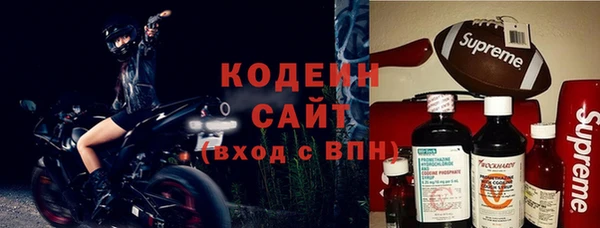 прущий лед Алзамай