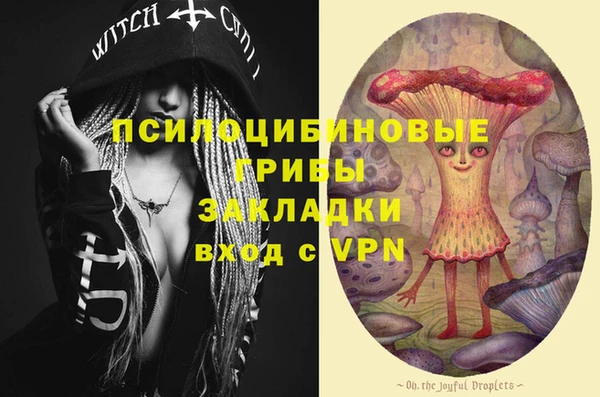 прущий лед Алзамай