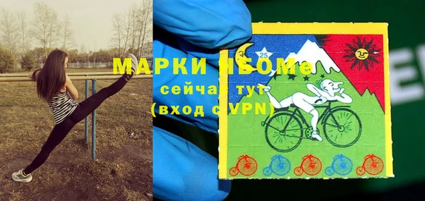 прущий лед Алзамай