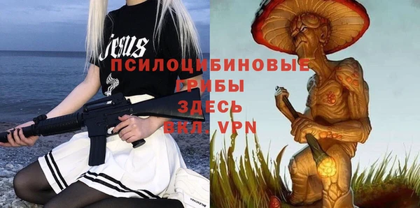 прущий лед Алзамай